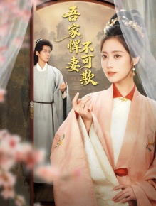 吾家悍妻不可欺