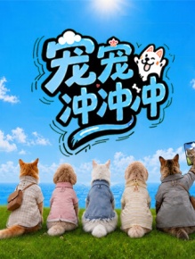 宠宠冲冲冲