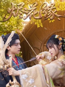 烬花缘