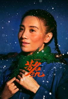 芳名三九