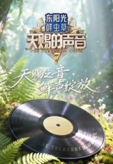 天赐的声音 第7季