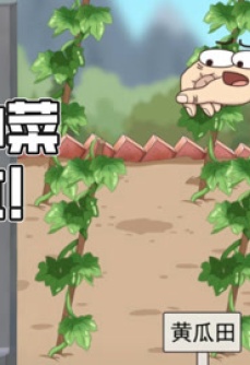 新手种菜不踩坑！