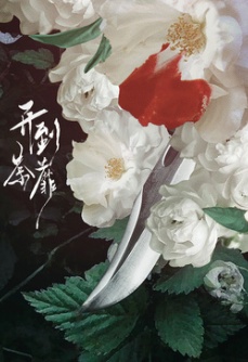 开到荼蘼