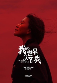 我的世界没有我