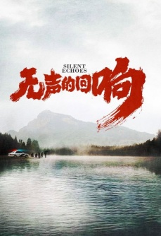 无声的回响
