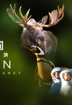 伊甸园：最后的秘境