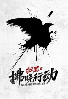 扫黑之拂晓行动