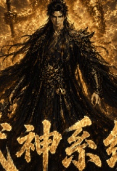 武神系统1