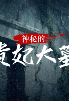 神秘的贵妃大墓