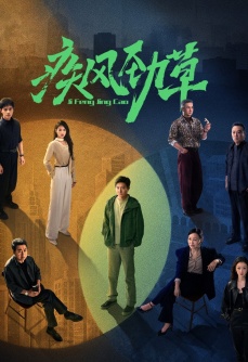 疾风劲草