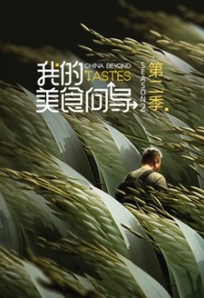 我的美食向导 第2季