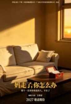 妈走了，你怎么办