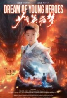 少年英雄梦