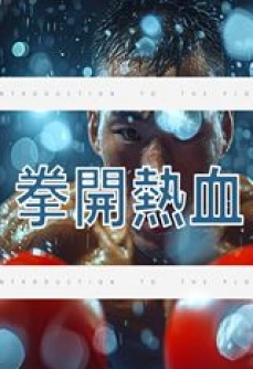 拳开热血